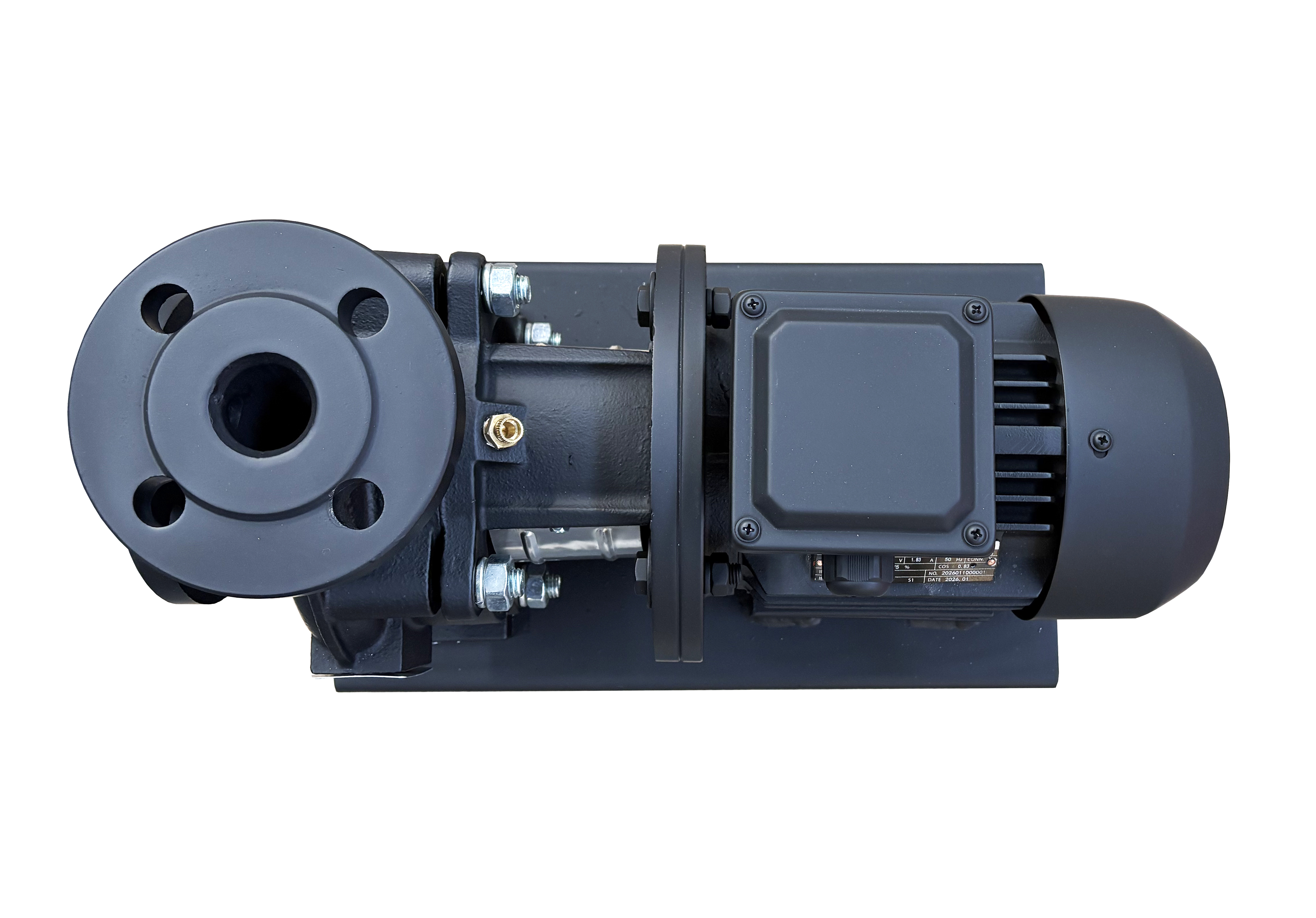 NEWBIG-RH_3.jpg